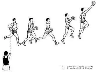 篮球教练训练总结心得体会_0